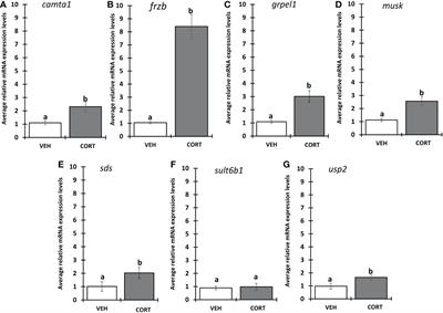 Characterization of a novel corticosterone response gene in Xenopus tropicalis tadpole tails